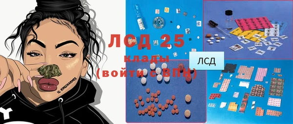 мет Алексин